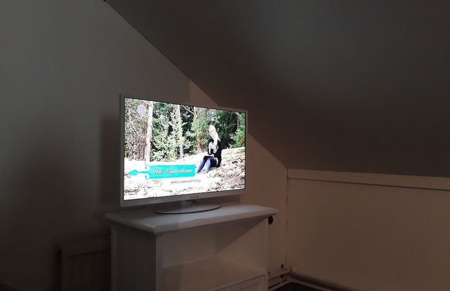 LAURI Historical Log House Manor - Foto 76