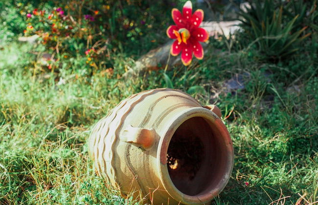 Wild Pear Villa - Foto 53