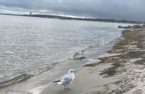 Ostsee Ferienwohnung in Sierksdorf - Hansa Park - Foto 34