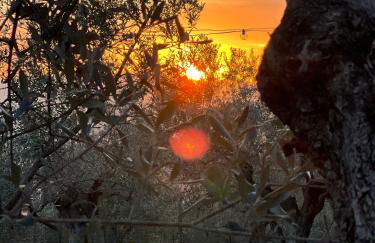 Borgo Medievale di Poggio Alla Pieve Relais, Food & Art - Foto 41