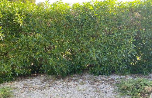 Bonita casa independiente cerca de la playa - Foto 35