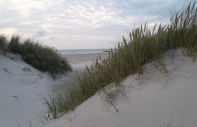 6 Person Holiday Home in Saltum-by Traum - Foto 14