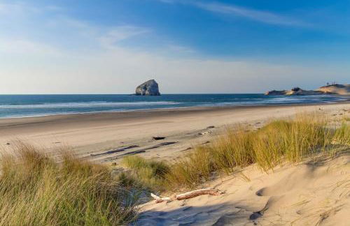 Pacific Shorepine - Foto 26