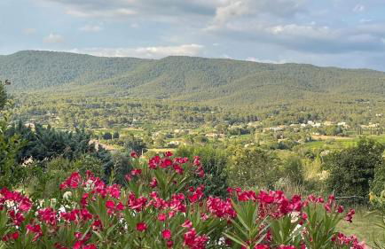 Nouveauté Villa pour 10 Personnes avec Piscine, Pétanque au Coeur des Oliviers de Provence - Foto 33