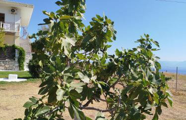 Nereids Apartments-Pronoe - Foto 37