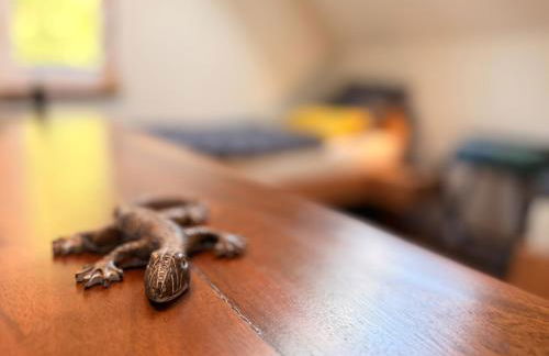 Auwer Hills - On dr Schür - Foto 40