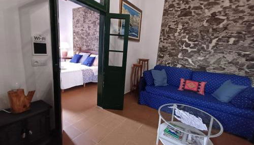 DRAGO 100, quiet and friendly - Foto 5