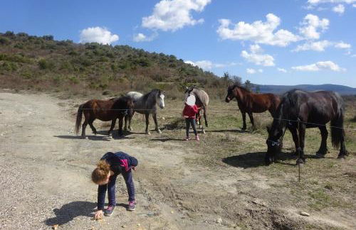 Lespine-10 min Caverne Pont d'Arc - Foto 7