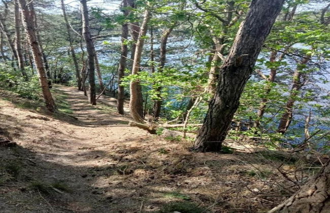 Holiday Home in Geesteren With Roof Terrace,garden Furniture - Photo 63