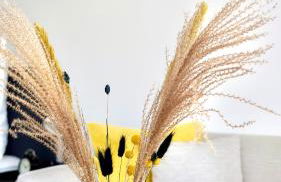 Zentral & Modern Nähe Düsseldorf und Köln - Foto 16