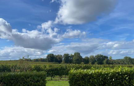 L'Eperonnette, cozy house with swimming pool, surrounded by vineyard, near St Emilion - Foto 44