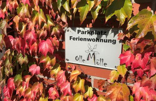 "An der alten Mühle 1" Große Fewo 110 qm, zentral gelegen, zwei Schlafzimmer, Südbalkon, Gartenterrasse & Wallbox - Foto 35