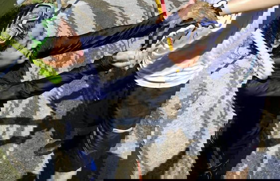 Villa Chillon - Foto 16