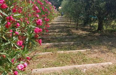 Casa vacanze Castellara - Foto 18