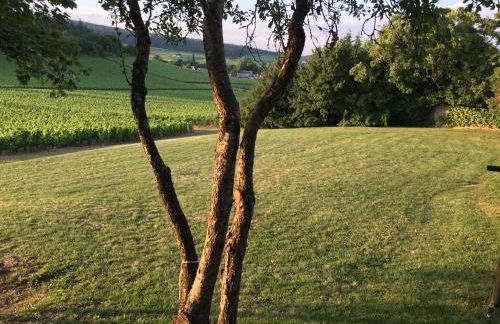 La Maison du Clos du Roi - Foto 77