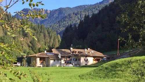 Mansarda Ai Tigli - Foto 2, Garden