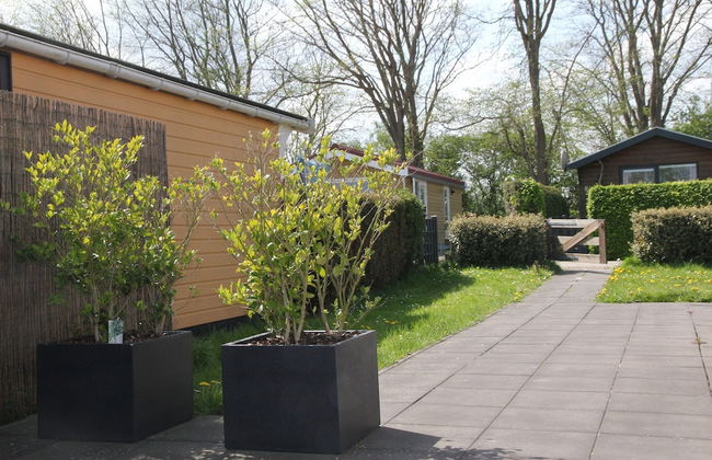 Rustic Bungalow in North Holland near Forest - Foto 25