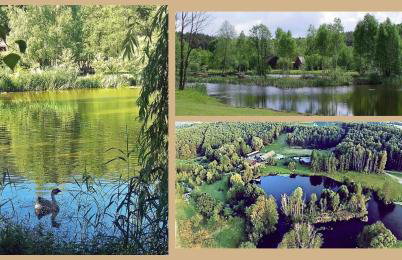 Tamarynowa Osada - Kraina Udanego Wypoczynku - Foto 26