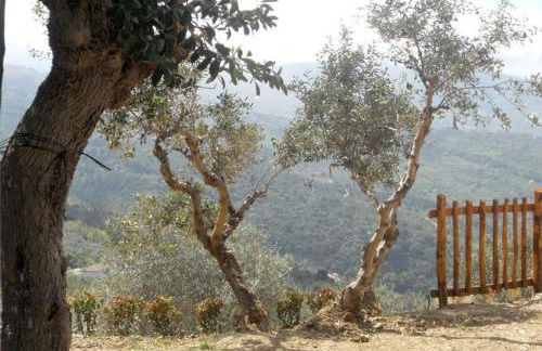 Casale Il Gheppio - Foto 4