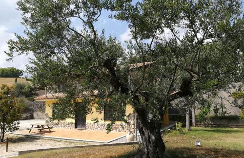 Agriturismo I Tre Ulivi - Foto 29