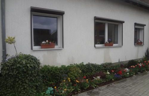 Alteschule15 - Foto 3