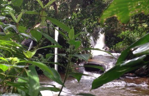 Reserva Atibaia / Casa de Montanha - Photo 19