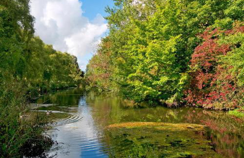 Betty's House - Foto 31