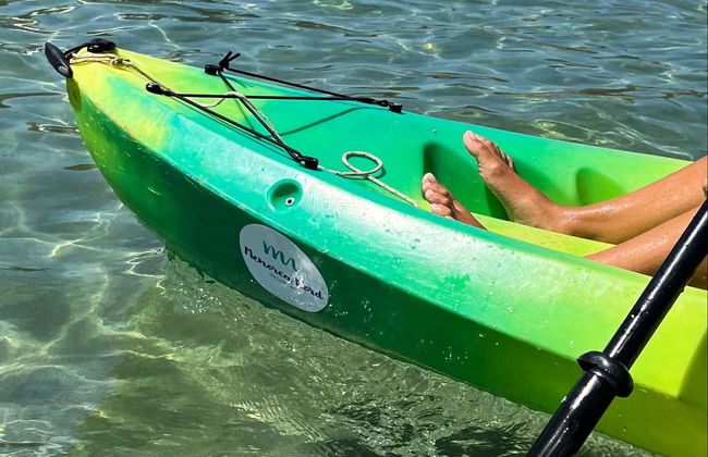 Mongofre Natural Park Kayak Tour - Photo 5