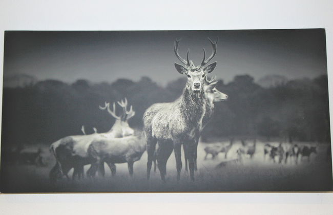 Geislerhof - Foto 10