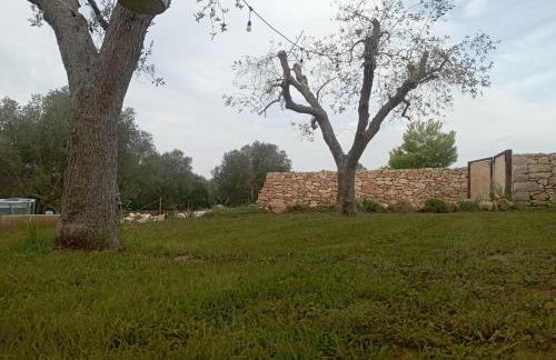 Tenuta L'uliveto - Foto 27