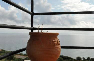 Areti Studios - Foto 49