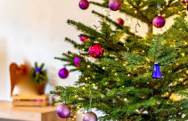 Ferienwohnung Plattner - Foto 54