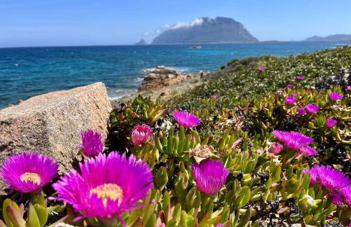 Villa Alzoni - Foto 39