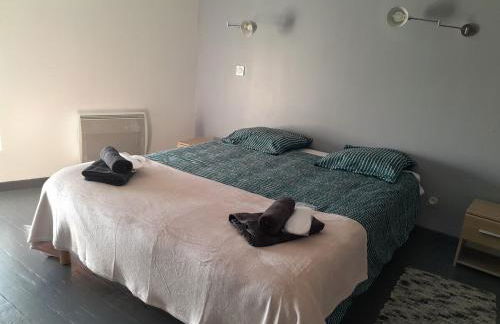 Maison Spacieuse 3 chambres, billard, proche Zénith, - Foto 9