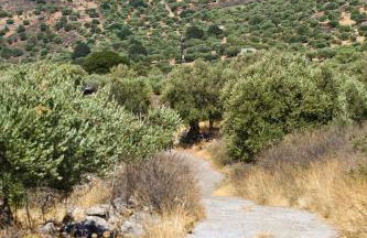 Casa di Giulietta - Foto 10