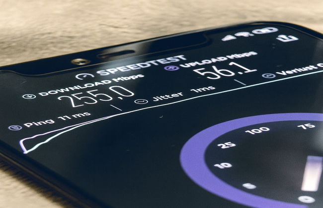 Liv MTL - Plato - Foto 65