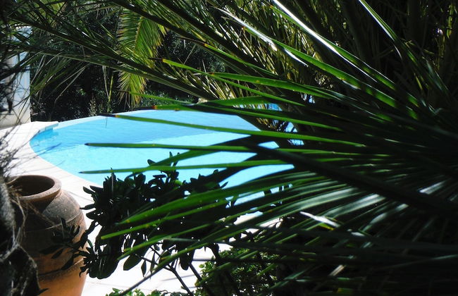 Lou Trelus - Foto 21