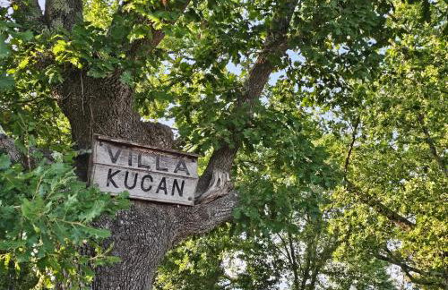 Villa Kučan - Foto 46
