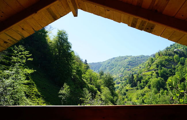 Tanura Bungalows - Foto 66