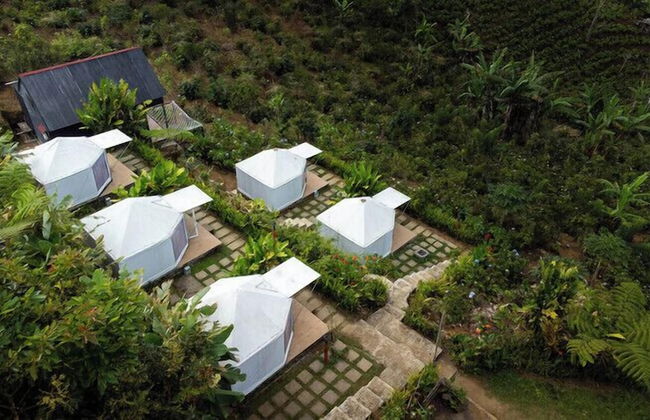 Alam Kita Glamping & Plantation - Foto 44