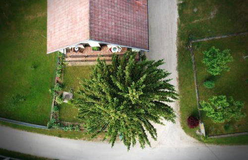 Studio Ivona - Foto 54