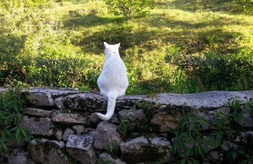 Bajo Los Tilos - Foto 38