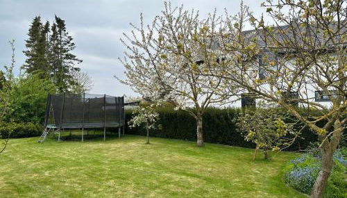 Ferienhaus Funnix Haus Seeblick - Foto 3, Garden