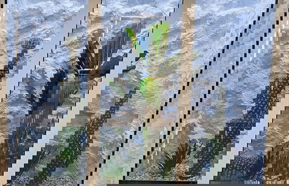 UG Neubau City Wohnung (optional Pool+Gym+2tes Bad extra buchbar) - Foto 35