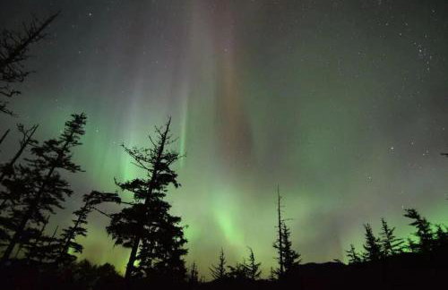 Breathtaking Ocean, Mountain & Juneau Views - Foto 43