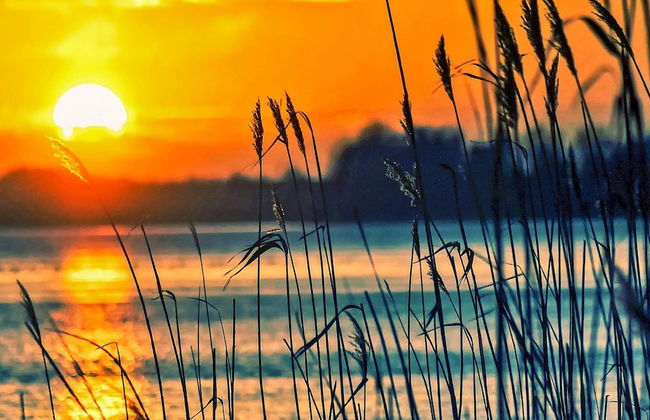 8 Person Holiday Home in Husum - Photo 8