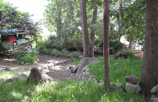 Tzikin Jaay - Foto 14