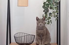 Kanela Guest House B-side - Foto 20