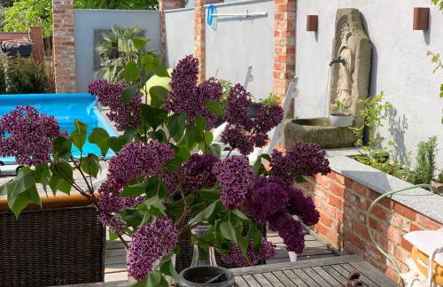 Alte Schmiede mit Sauna, Pool und Whirpool im Außenbereich schönstes Ferienhaus der Lausitz - Foto 9