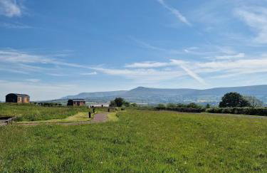 Oak Moor Shepherd Hut - Brecon Beacons, LD3 7TD - Foto 46